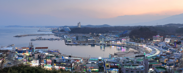 대포항