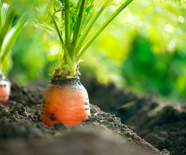 브랜드 이미지 2